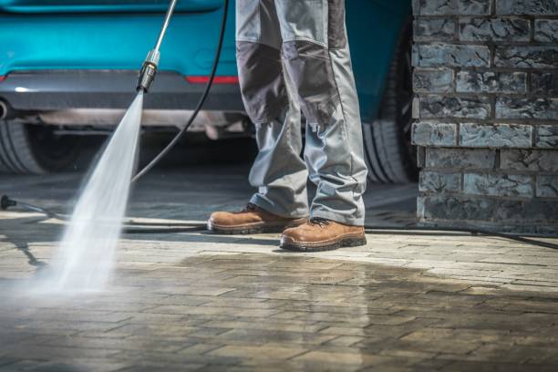 Best Driveway Pressure Washing  in Mont Alto, PA